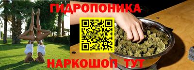 СК Донской