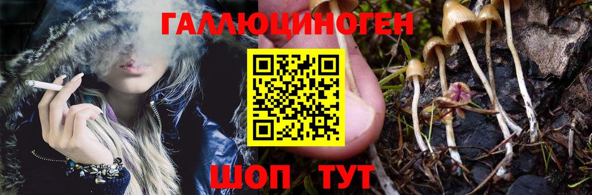 Псилоцибиновые грибы GOLDEN TEACHER Людиново
