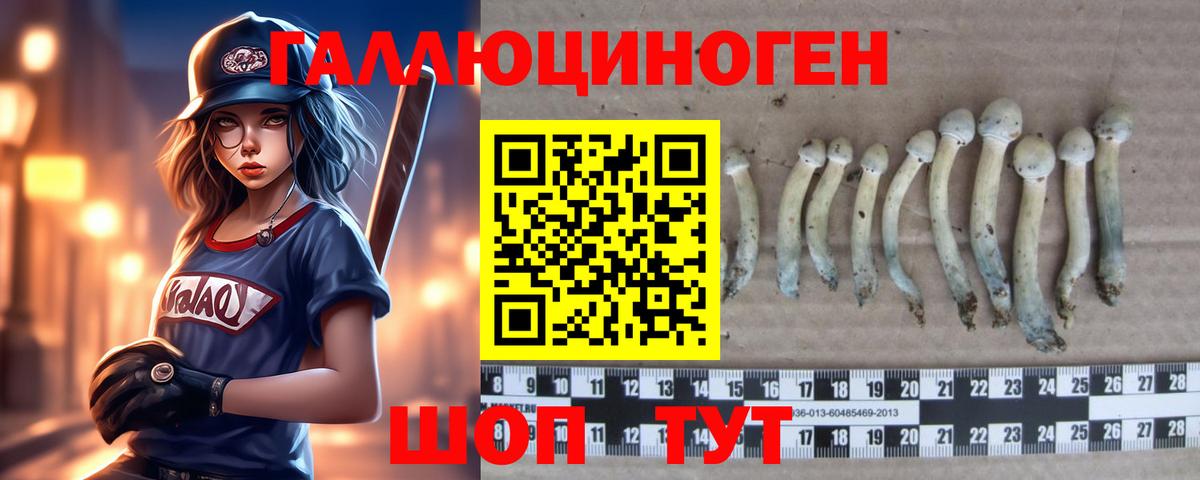 Галлюциногенные грибы Psilocybine cubensis  Вход с VPN  где купить наркоту  Людиново 